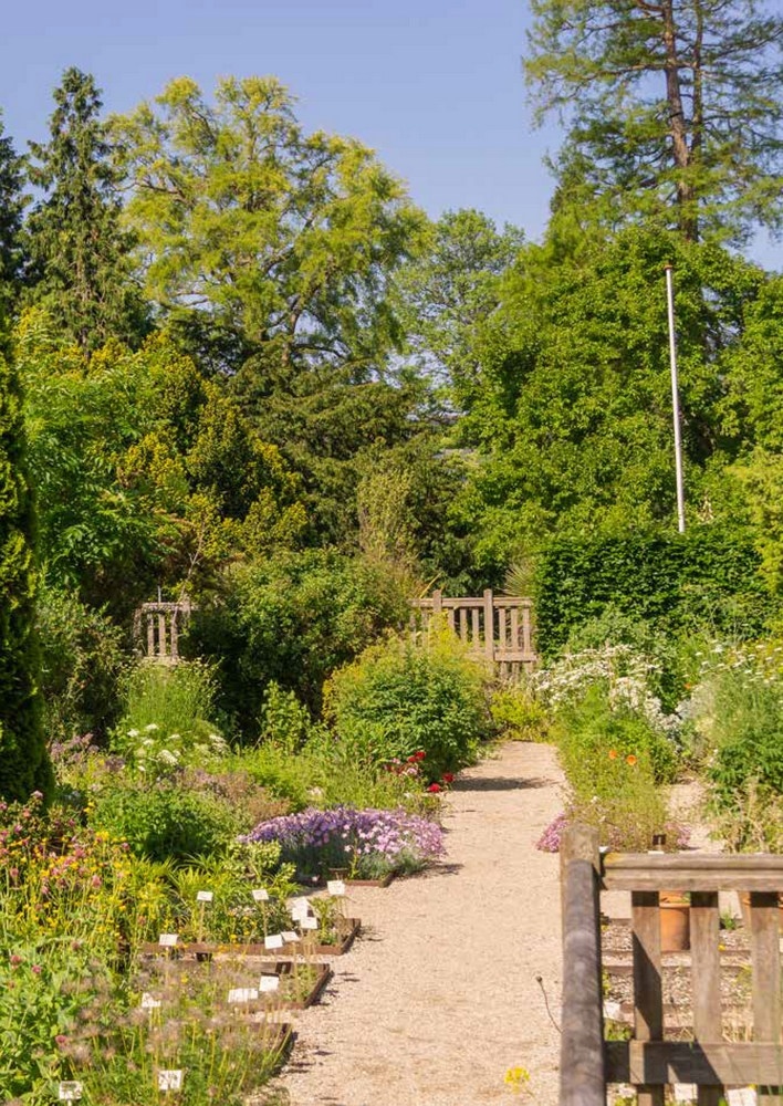 Van Hortus & tulp - Wandeling door 435 jaar Leidse Hortus