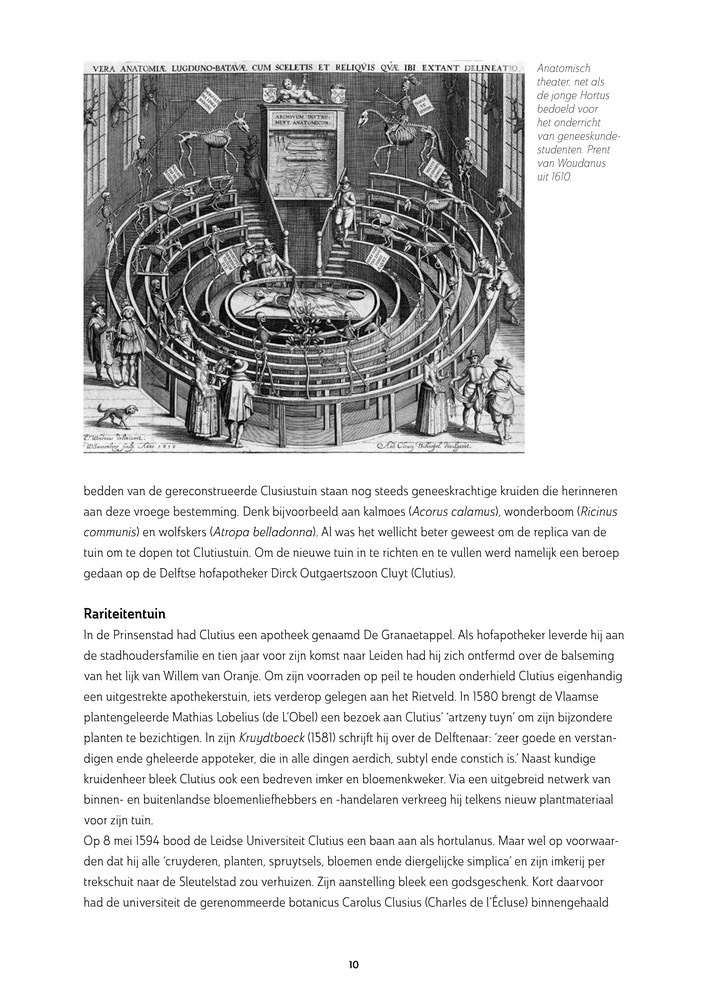 Van Hortus & tulp - Wandeling door 435 jaar Leidse Hortus