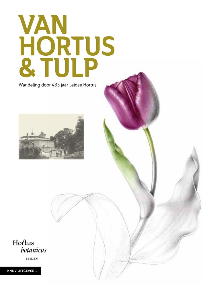 Van Hortus & tulp - Wandeling door 435 jaar Leidse Hortus