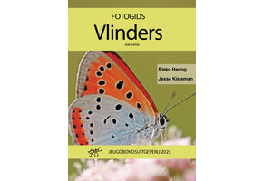 Fotogids Vlinders