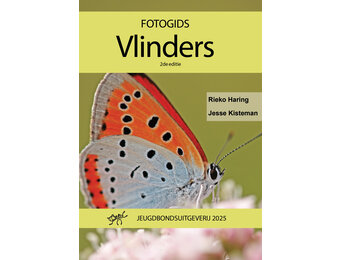 Fotogids Vlinders