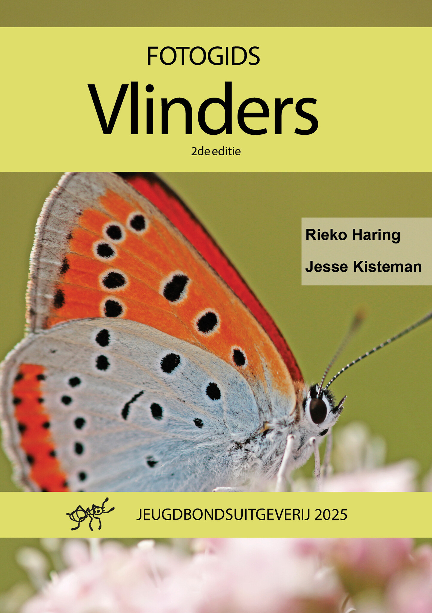 Fotogids Vlinders - 2nd edition