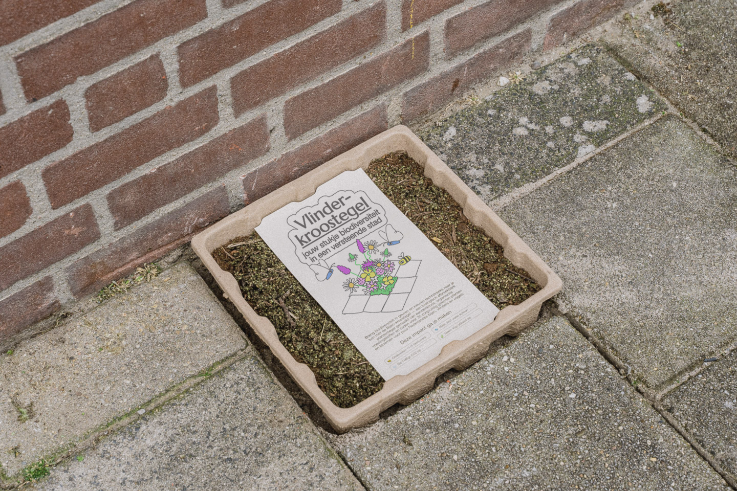 Flip the City Schmetterling Entengrütze-Gehwegplatt