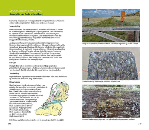 Veldgids Mossen en korstmossen op dood hout