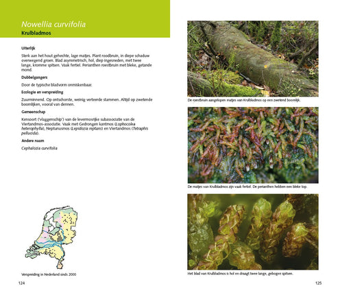 Veldgids Mossen en korstmossen op dood hout