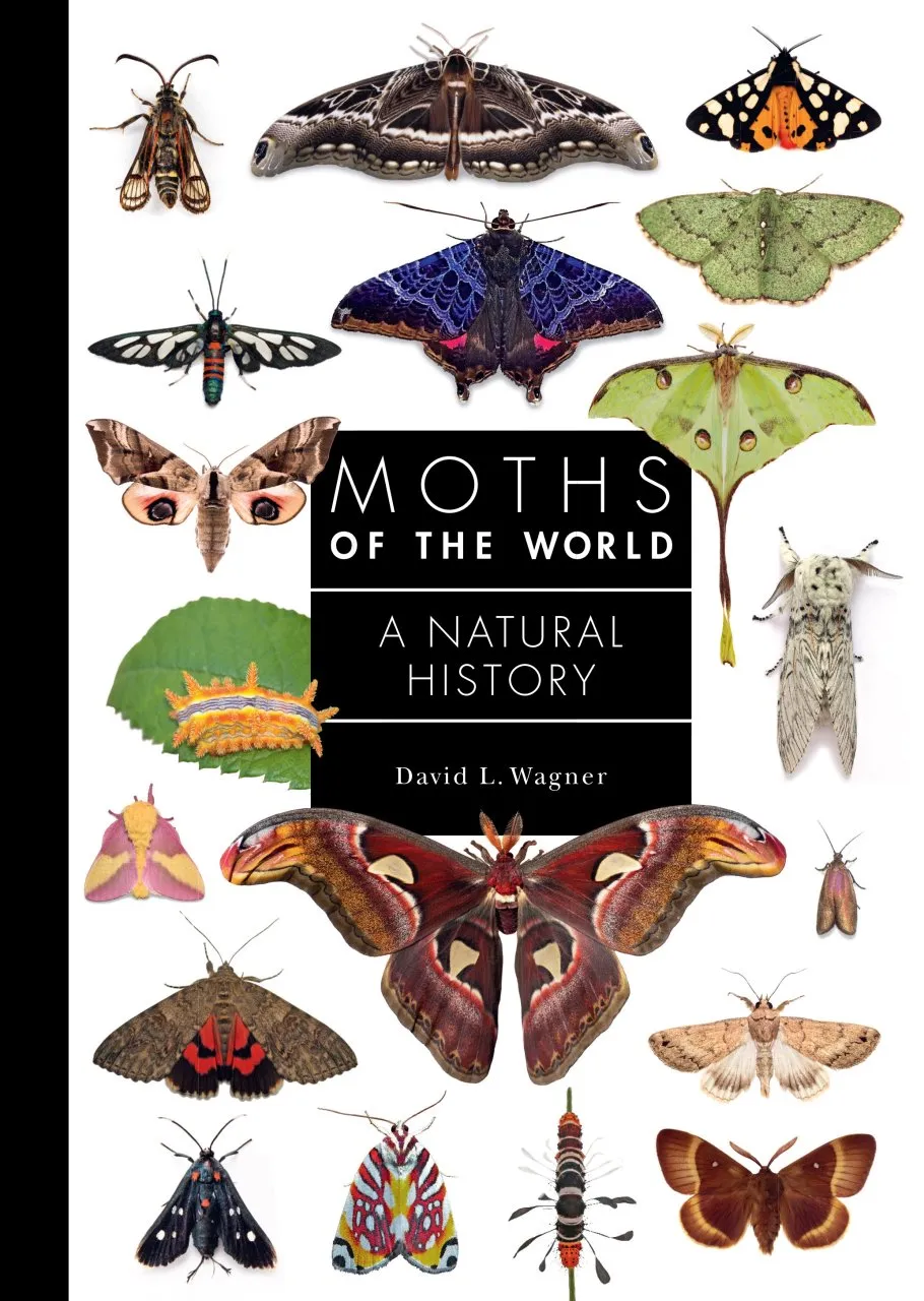 Moths of the World - A Natural History