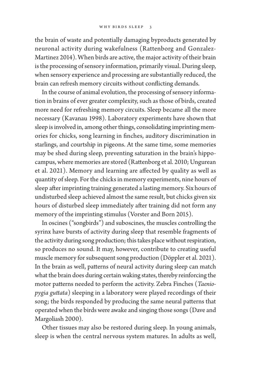 Birds at Rest - The Behavior and Ecology of Avian Sleep