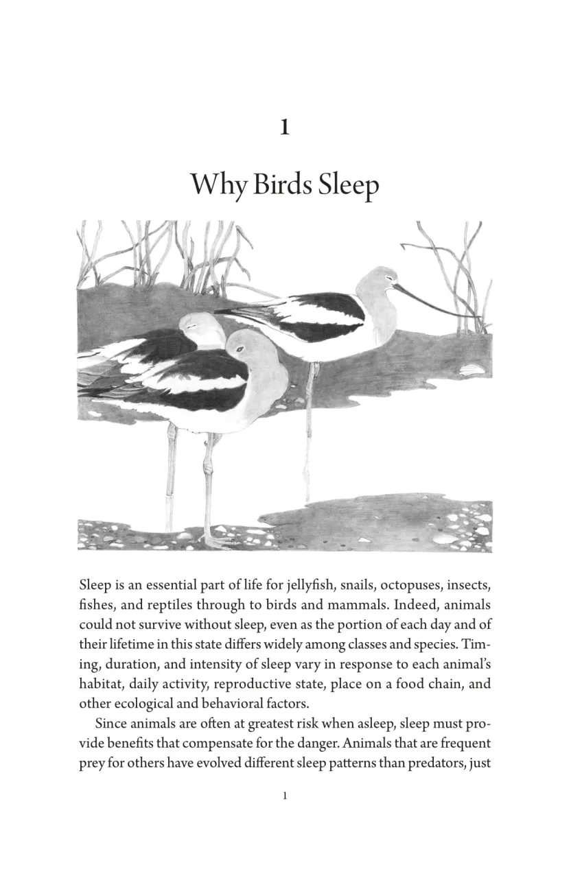 Birds at Rest - The Behavior and Ecology of Avian Sleep