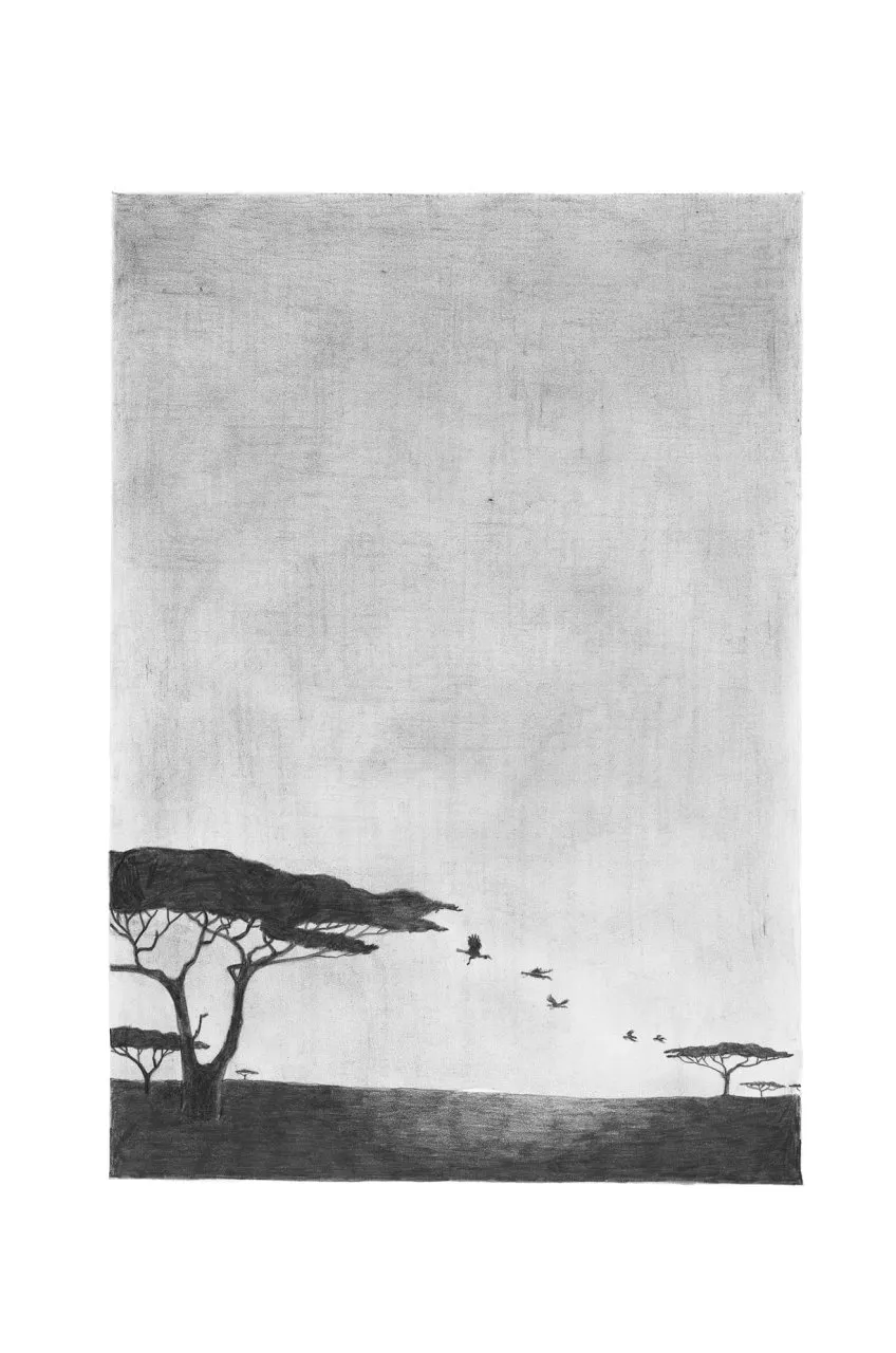 Birds at Rest - The Behavior and Ecology of Avian Sleep