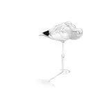 Birds at Rest - The Behavior and Ecology of Avian Sleep