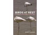 Birds at Rest