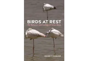 Birds at Rest