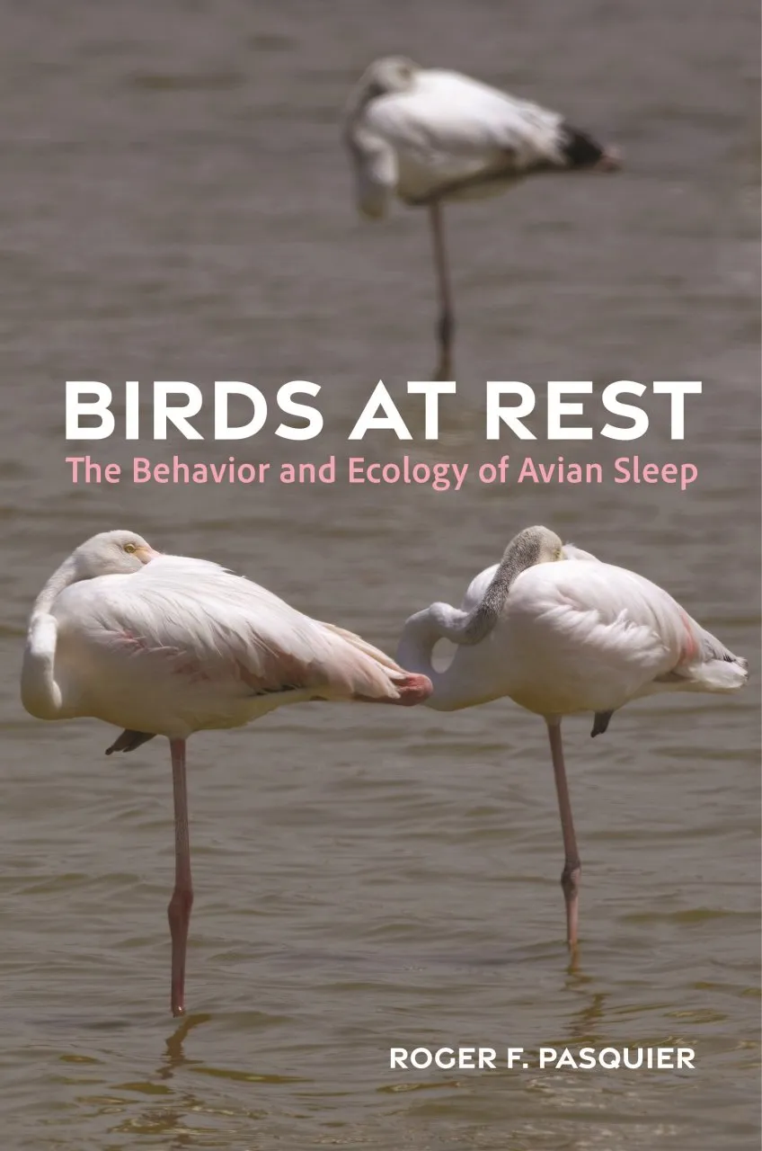 Birds at Rest - The Behavior and Ecology of Avian Sleep