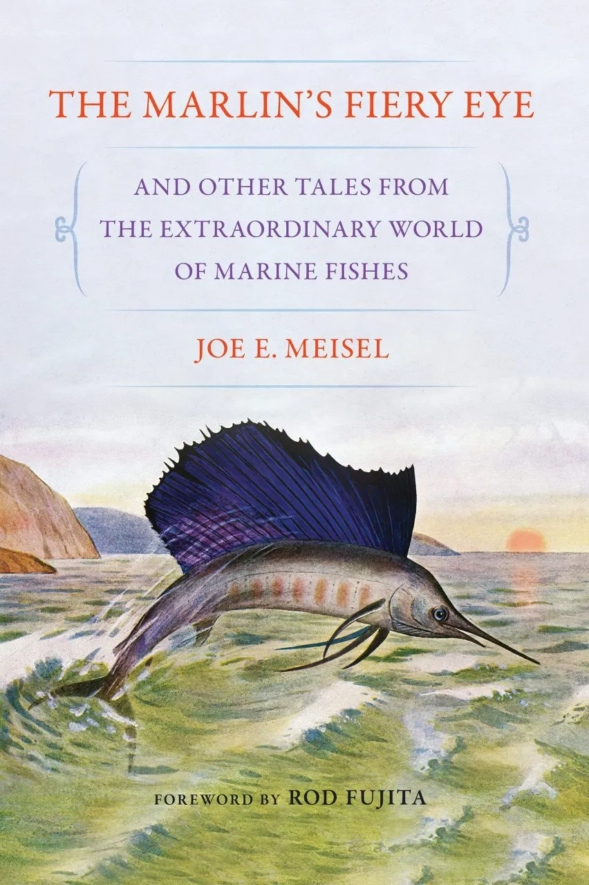 The Marlin's Fiery Eye - and Other Tales from the Extraordinary World of Marine Fishes