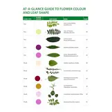 Identification Guide to the Non-Native Invasive Plants of Britain and Ireland