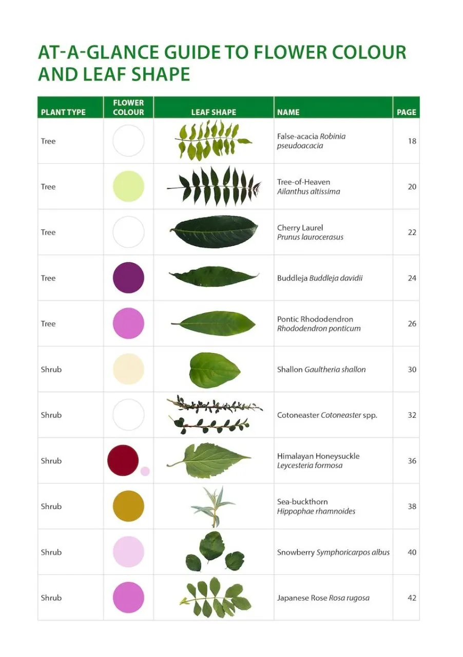 Identification Guide to the Non-Native Invasive Plants of Britain and Ireland