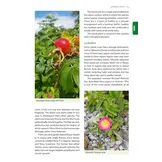 Identification Guide to the Non-Native Invasive Plants of Britain and Ireland