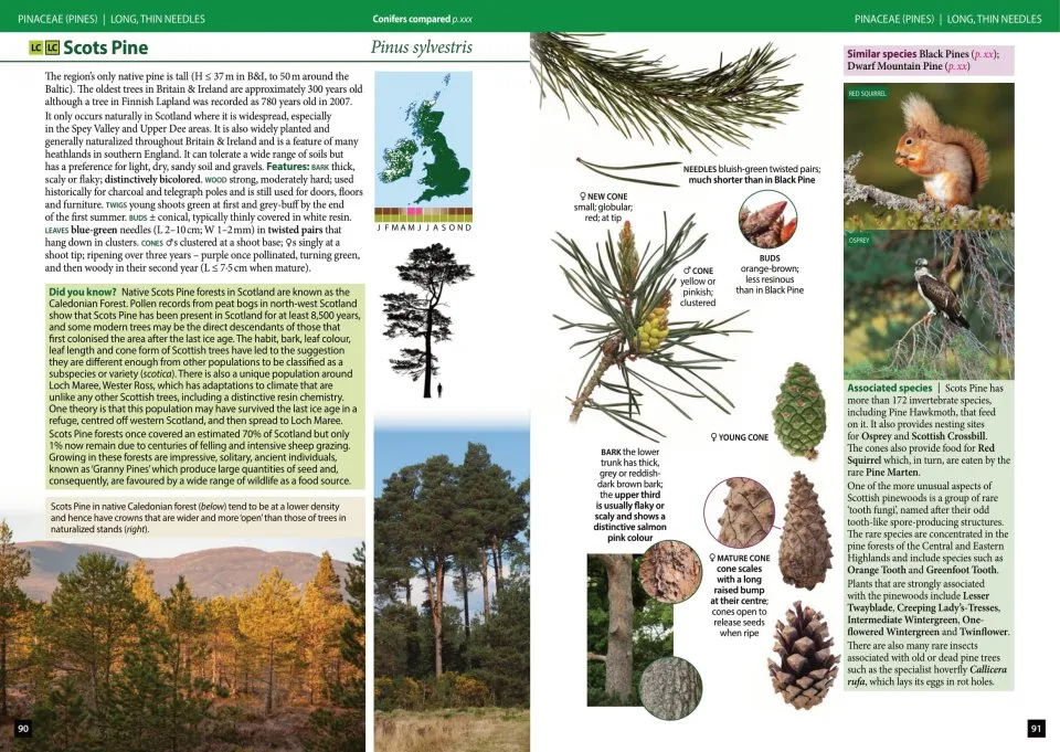 Trees of Britain and Ireland