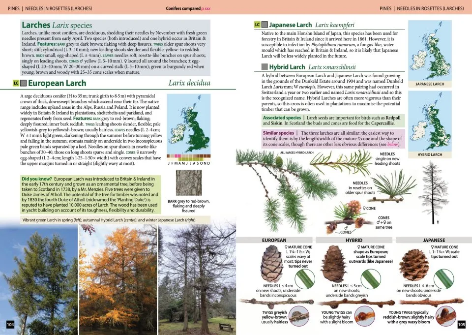 Trees of Britain and Ireland