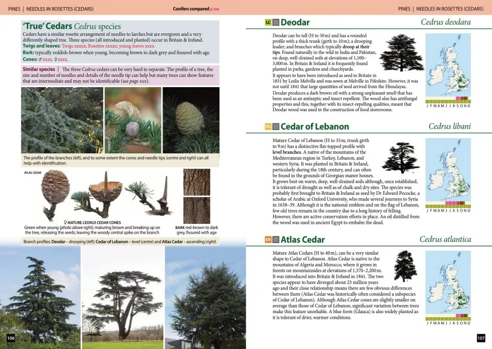 Trees of Britain and Ireland