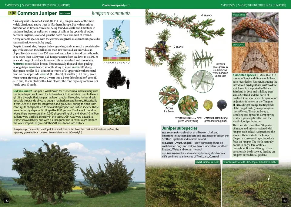 Trees of Britain and Ireland