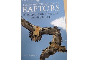 Damaged copy - Flight Identification of Raptors of Europe, North Africa and the Middle East