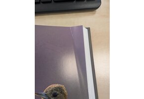 Beschädigte Kopie - Woodpeckers of the World