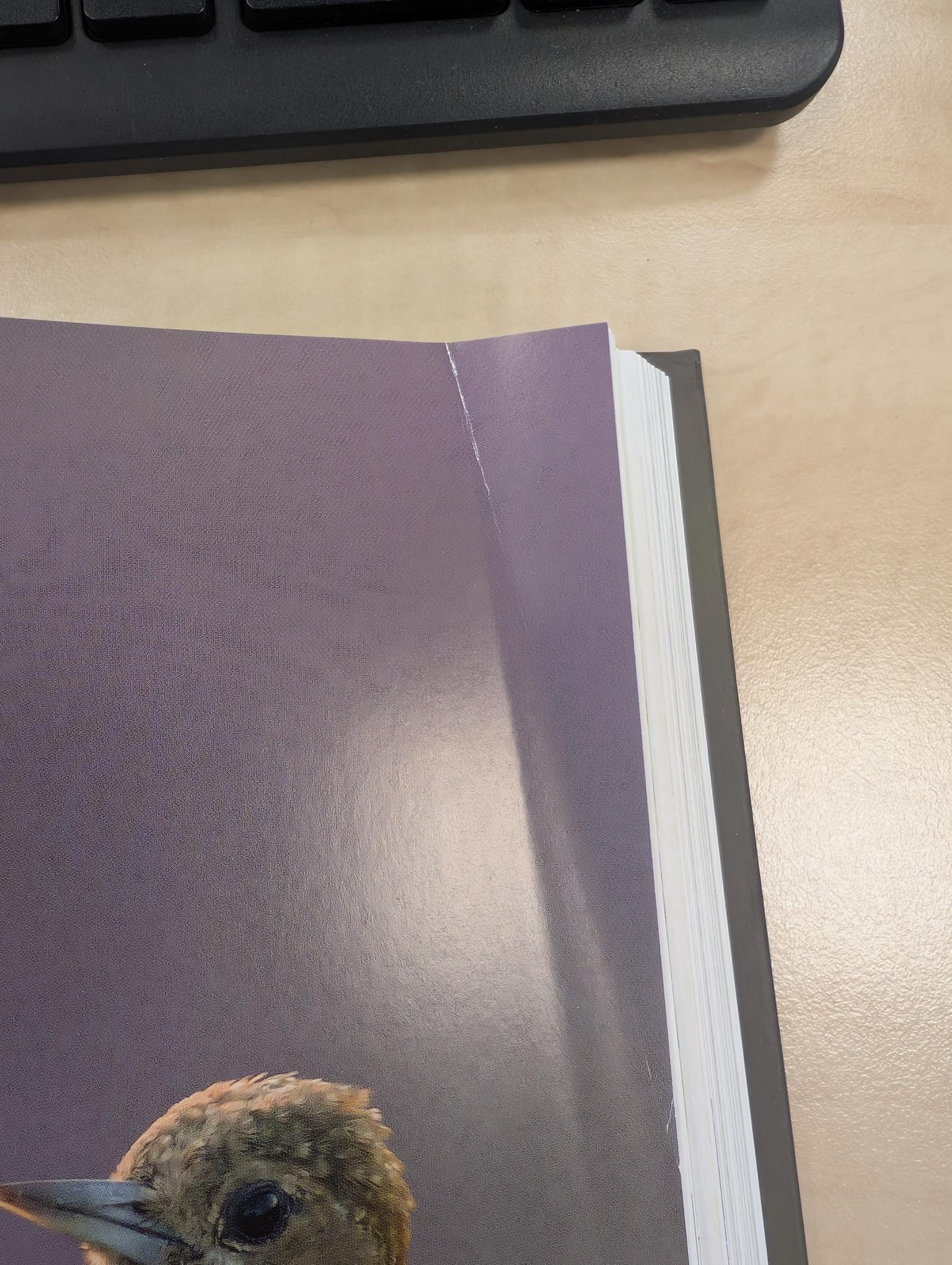 Beschädigte Kopie - Woodpeckers of the World