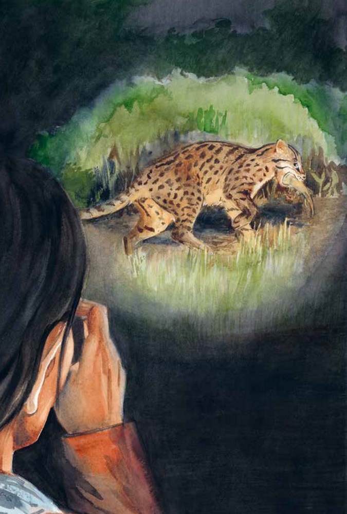 De geheimzinnige vissendief - en andere avonturen van jonge natuurhelden