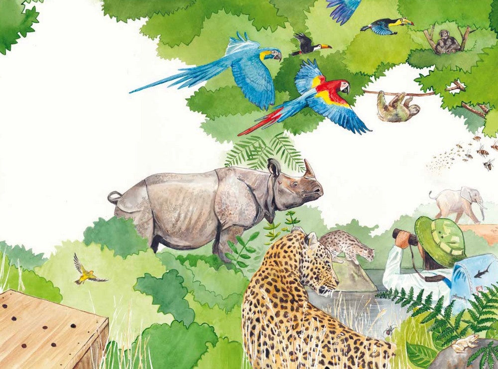 De geheimzinnige vissendief - en andere avonturen van jonge natuurhelden