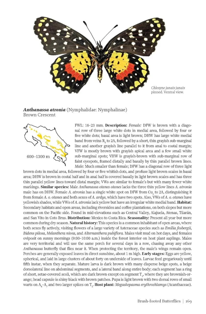 Butterflies and Moths of Costa Rica