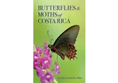 Butterflies and Moths of Costa Rica