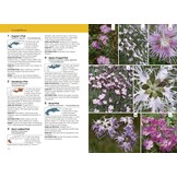 Alpine Flowers - The Complete Field Guide