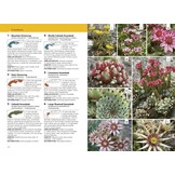 Alpine Flowers - The Complete Field Guide