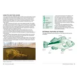 Field Guide to British Fish - Freshwater and Marine