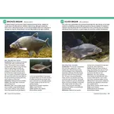 Field Guide to British Fish - Freshwater and Marine
