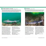 Field Guide to British Fish - Freshwater and Marine