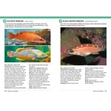 Field Guide to British Fish - Freshwater and Marine