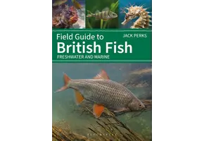 Field Guide to British Fish