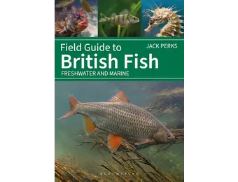 Field Guide to British Fish