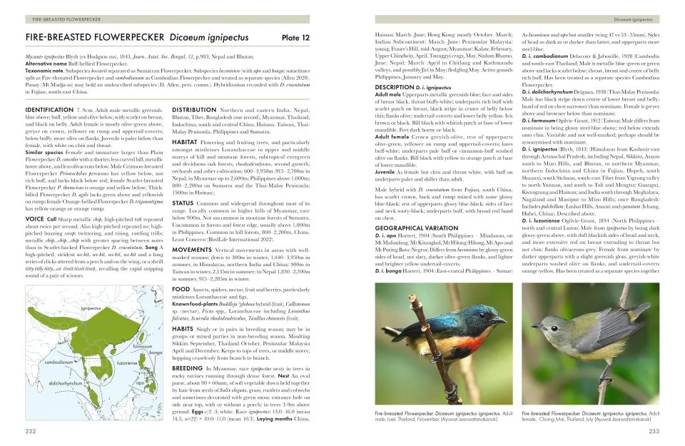 Sunbirds of the World - Sunbirds, Flowerpeckers, Spiderhunters & Sugarbirds