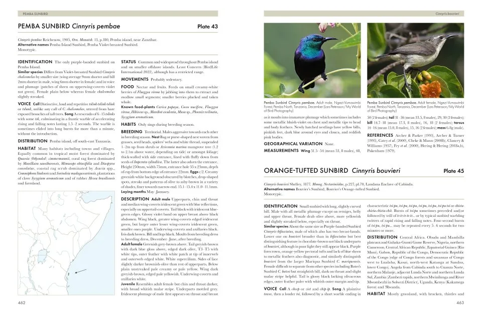 Sunbirds of the World - Sunbirds, Flowerpeckers, Spiderhunters & Sugarbirds