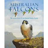 Australian Falcons - The secret lives of our fastest birds of prey