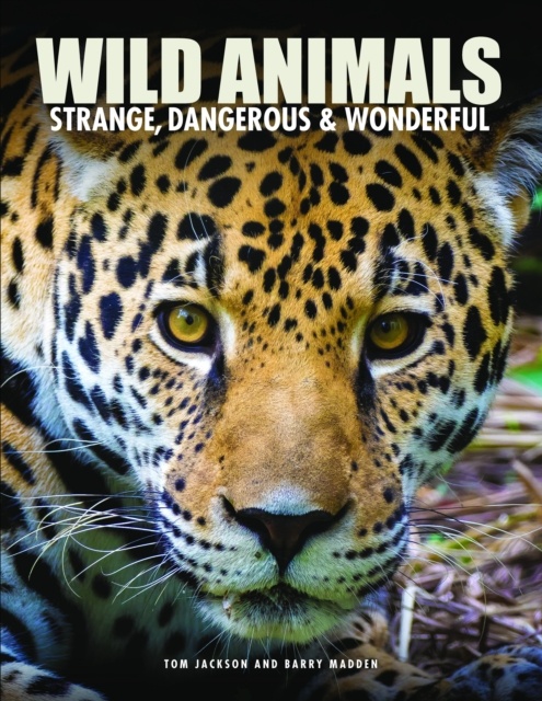Wild Animals - Strange, Dangerous & Wonderful