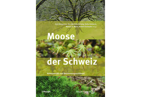 Moose der Schweiz