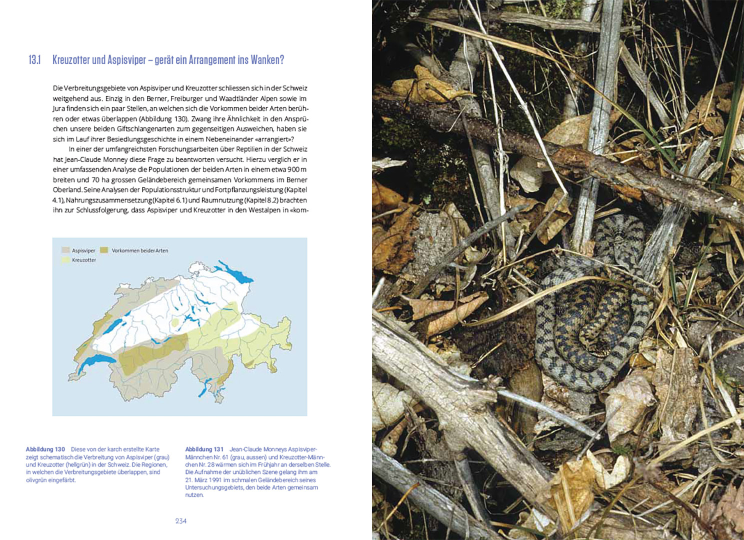 Reptilien in der Schweiz - Wie sie leben und was wir über sie wissen