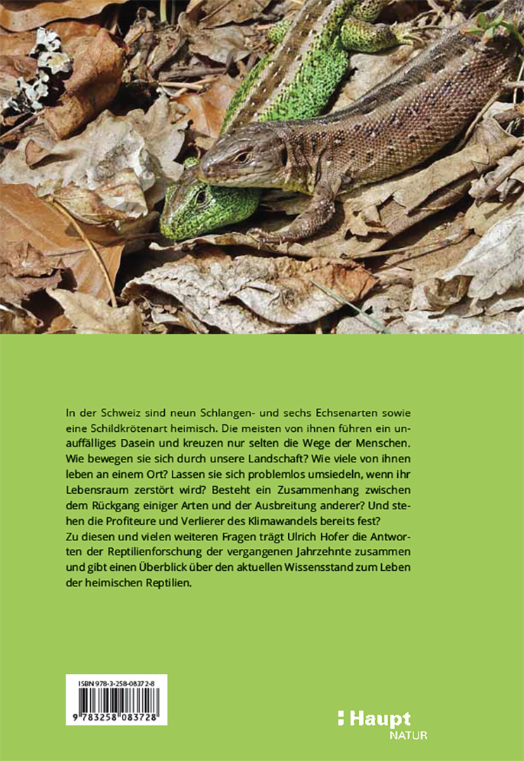 Reptilien in der Schweiz - Wie sie leben und was wir über sie wissen