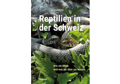 Reptilien in der Schweiz