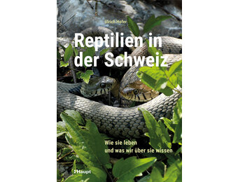 Reptilien in der Schweiz