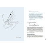 Schlupfwespen - Ihre geheimnisvolle Welt beobachten und verstehen